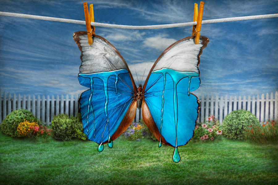 Хотела стать бабочкой. Бабочка креативная. Необычные бабочки. Бабочка сюрреализм. Иллюстрации необычная бабочка.