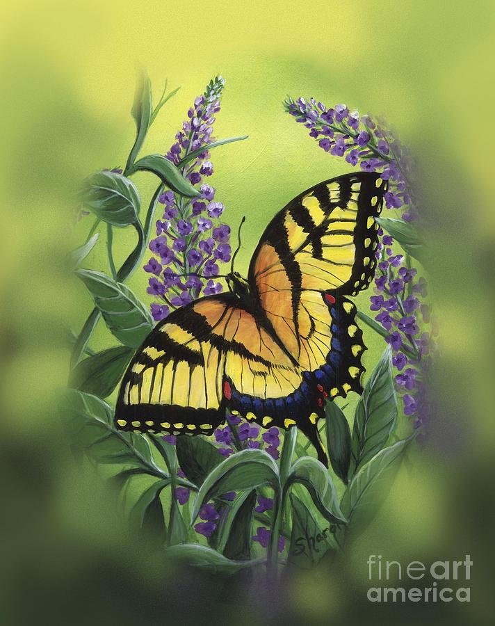 Butterfly 1 Painting by Sharon Molinaro