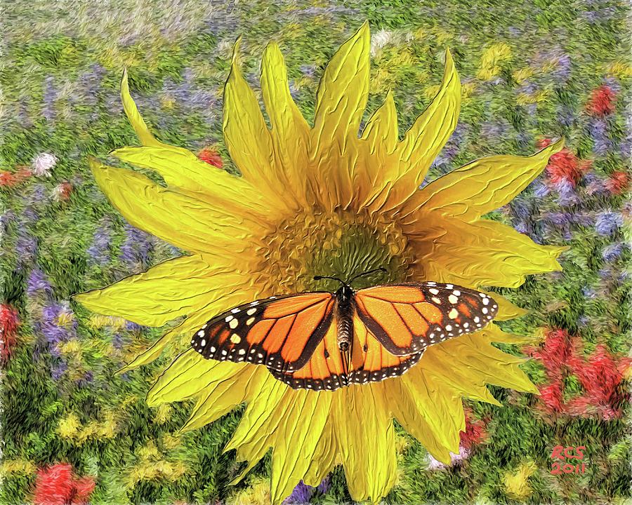 Butterfly and Sunflower Digital Art by Richard Stevens - Fine Art America