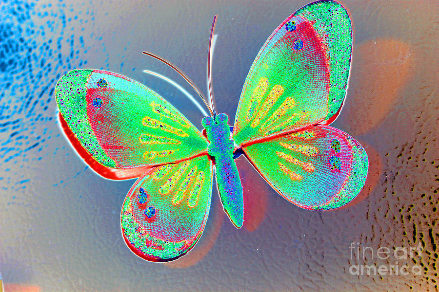 Butterfly Decoration Photograph by Susan Stevenson