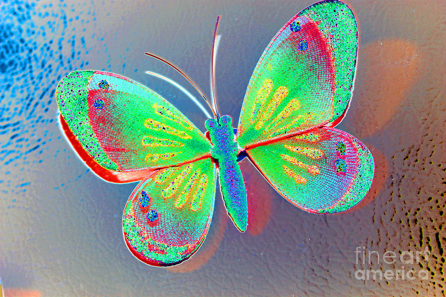 Butterfly Decoration Photograph by Susan Stevenson - Fine Art America