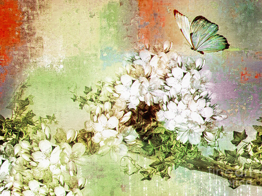 Butterfly Digital Art by Elaine Manley