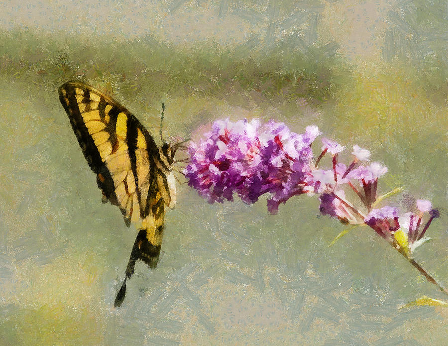 Butterfly Feast Digital Art by Jim Proctor