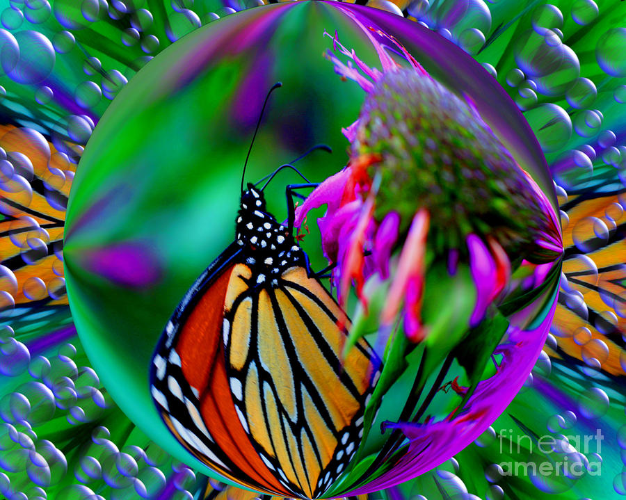 Butterfly In A Bubble Digital Art by Smilin Eyes Treasures