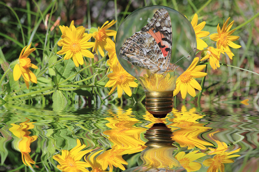 Butterfly In A Bulb II - Landscape Photograph by Shane Bechler