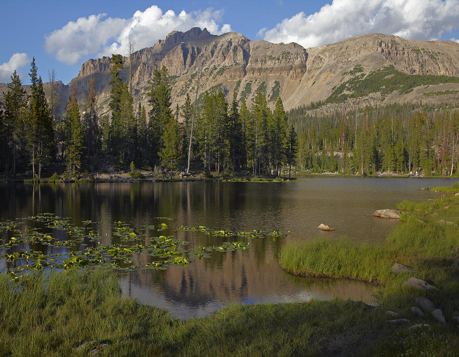 Butterfly Lake Uinta Range Utah Photograph by Tim Fitzharris