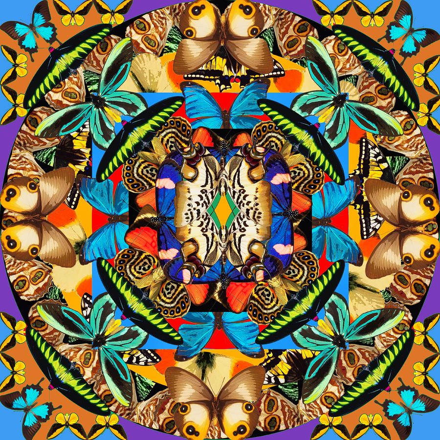 Butterfly Mandala Mixed Media by Dominic Piperata