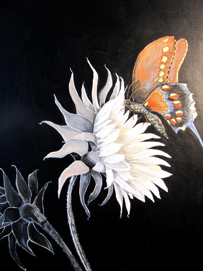 butterfly on black white Flower Painting by Sue Ervin