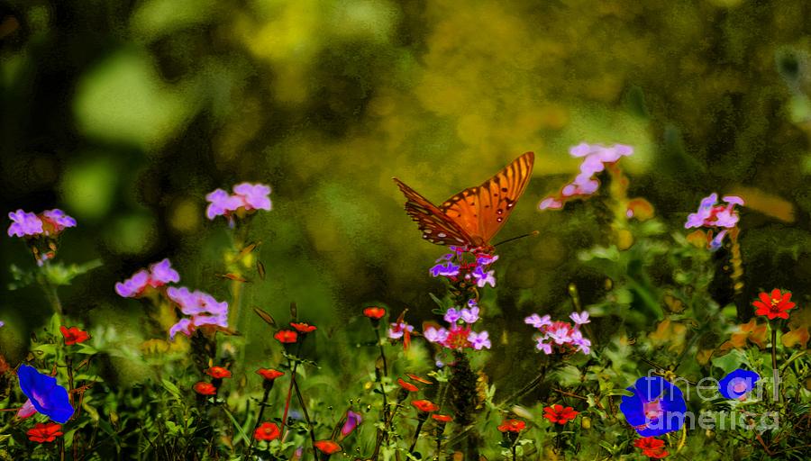 Butterfly On Lavender  Photograph by John  Kolenberg