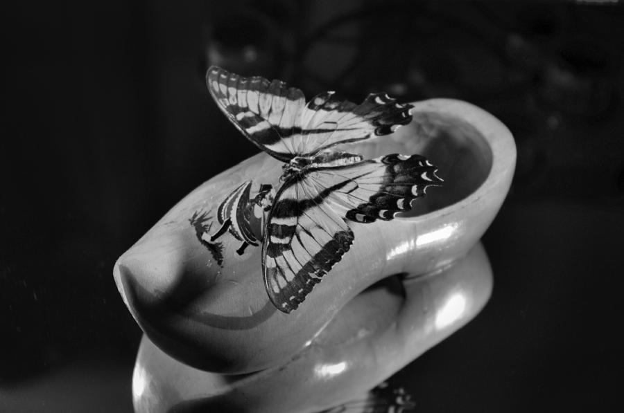 Butterfly on shoe Photograph by Gerald Kloss