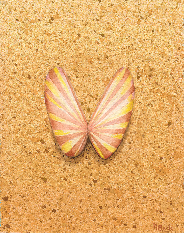 Butterfly Painting - Butterfly Sea Shell by Katherine Young-Beck