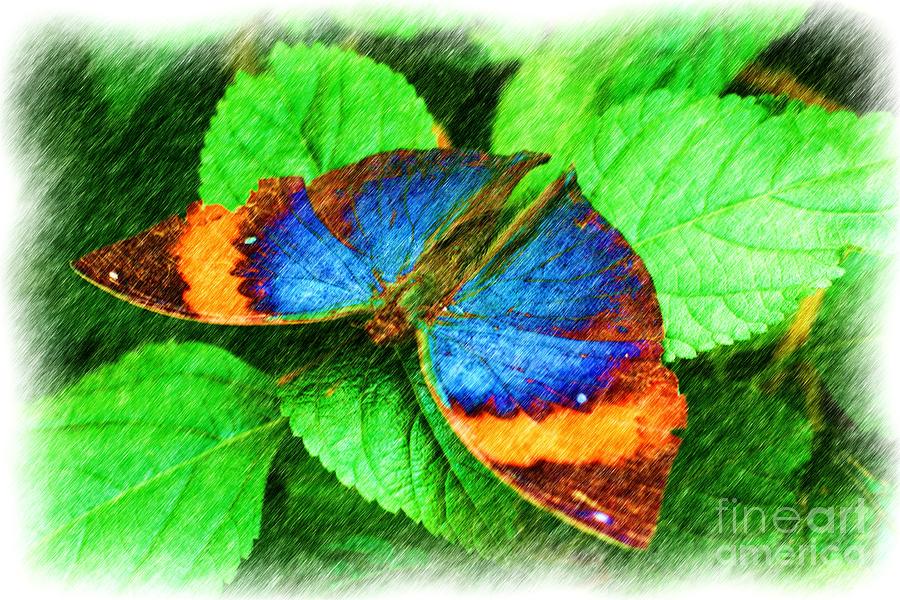 Butterfly Wings Digital Art by Smilin Eyes Treasures