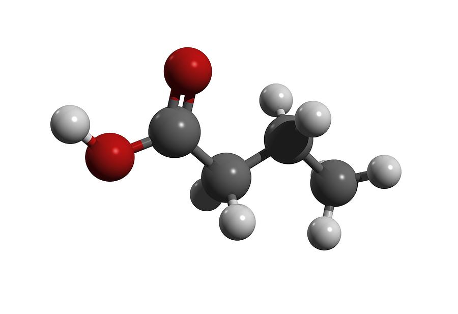 8 молекул серы. Глутаминовая кислота молекула. Серная кислота молекула. Щавелевая кислота молекула. Угольная кислота модель молекулы.
