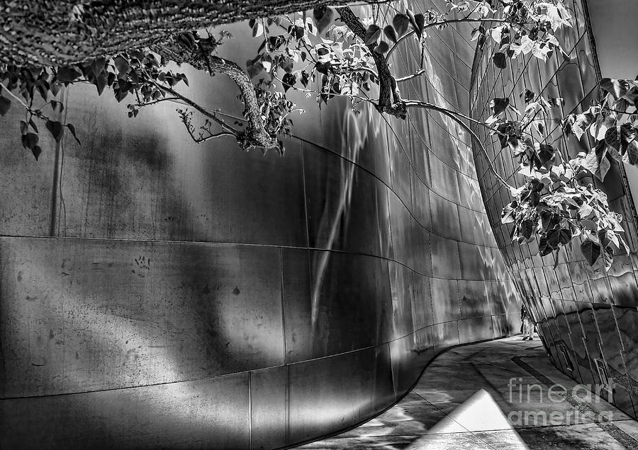Architecture Photograph - BW Disney Concert Hall by Chuck Kuhn