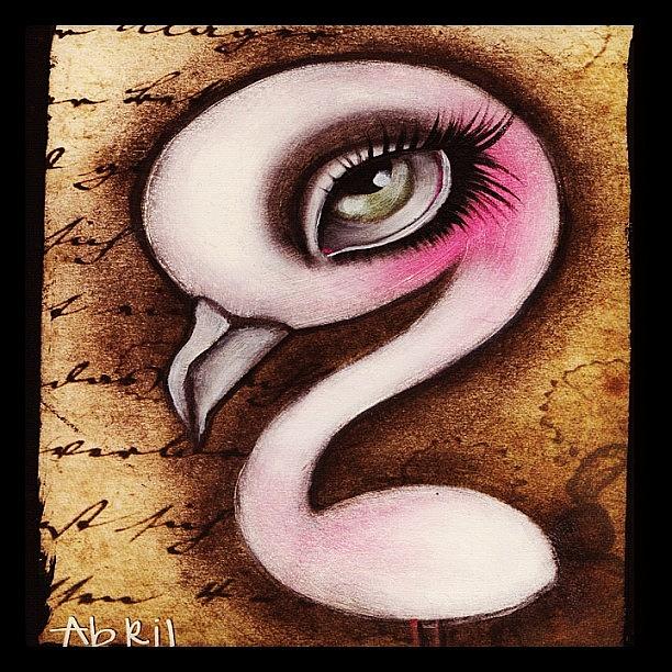 Flamingo Photograph - By #abrilandrade -sold- by Abril Andrade
