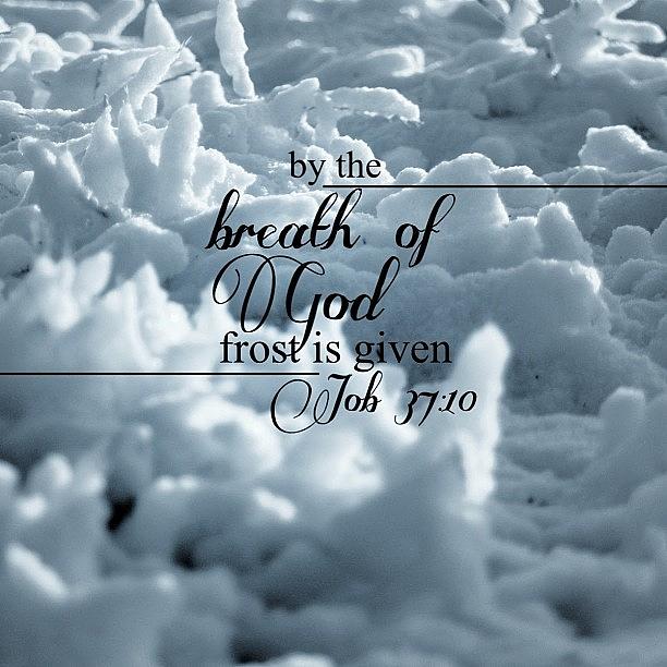 by The Breath Of God Frost Is Photograph by Traci Beeson