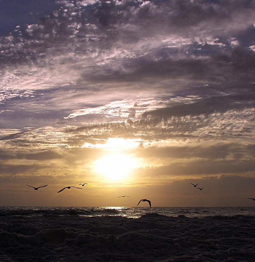 Sunset Photograph - Bye Bye Birds by Susan Medeiros
