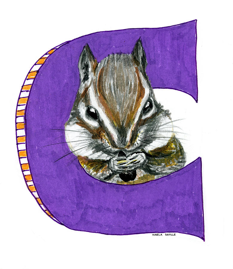 Animal Painting - C is for Cute by Marla Saville