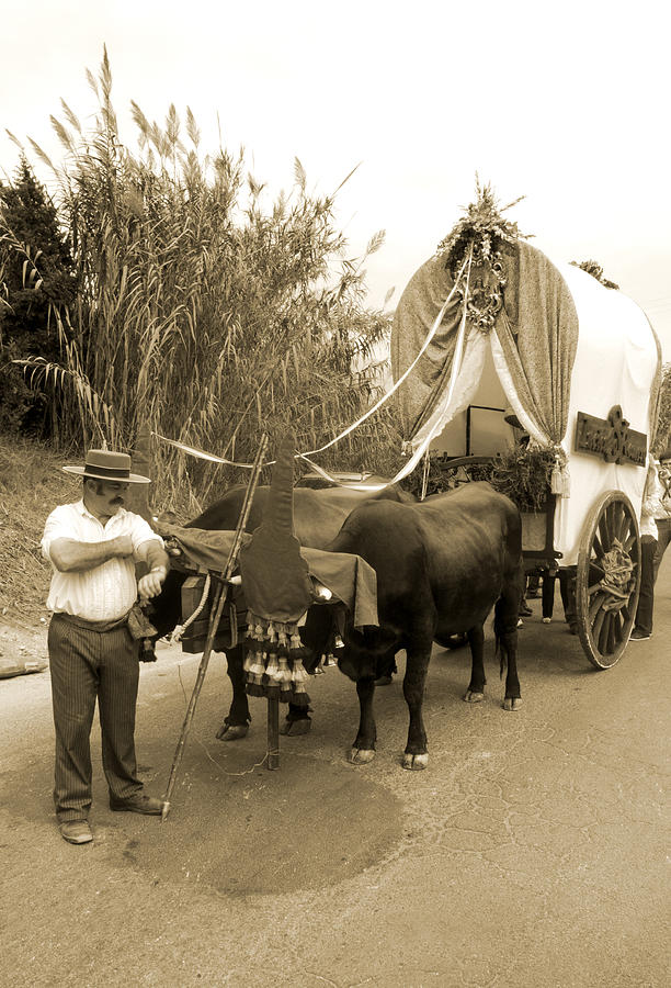 Caballero and his carriage Photograph by Perry Van Munster