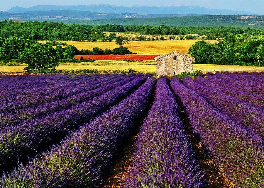 Provence Photograph - Cabanon by John Galbo