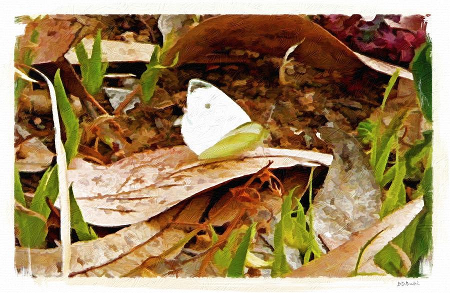 Nature Painting - Cabbage White Butterfly by Brian D Meredith