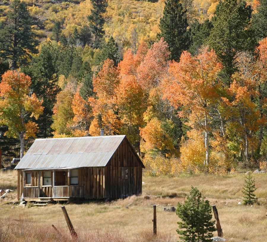 Cabin in Autumn Photograph by Anthony Trillo