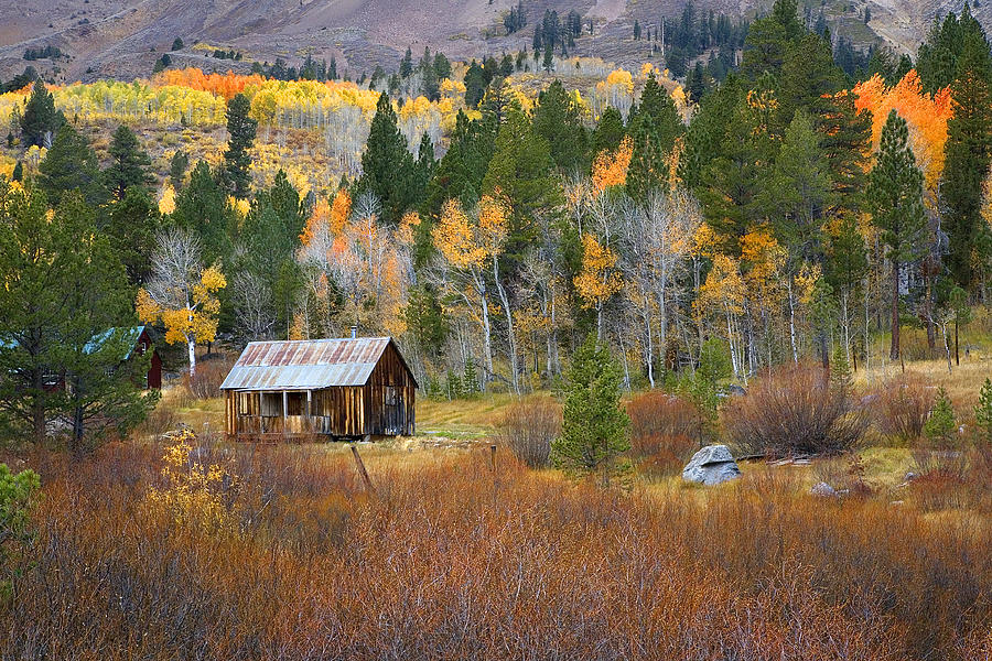 Cabin in Hope Valley Photograph by Shelly Thorene - Fine Art America