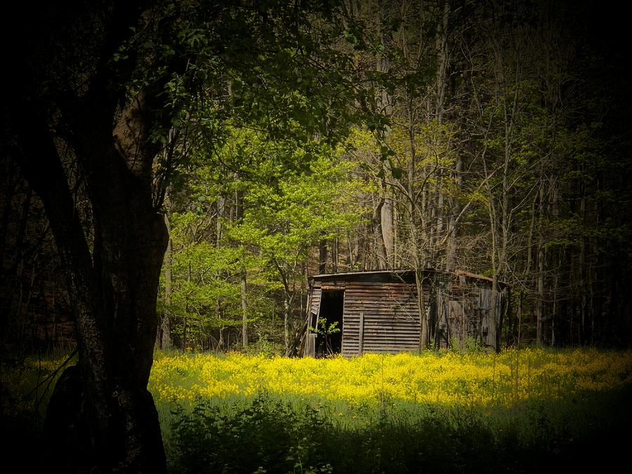 Cabin in the Flowers Photograph by Joyce Kimble Smith | Fine Art America