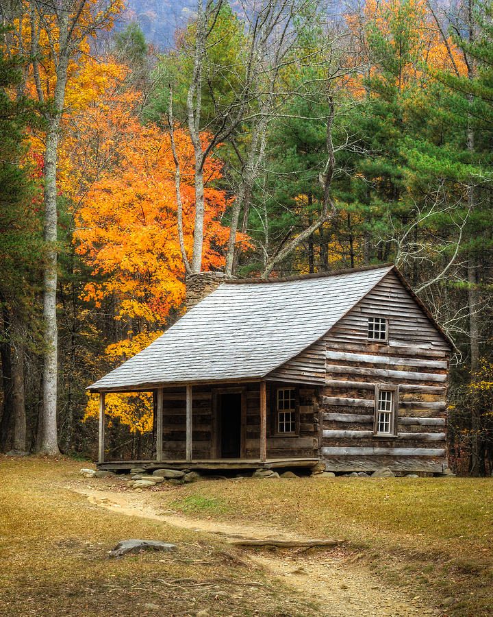 Cabin In The Woods Photograph by Charlie Choc