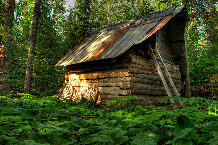 Cabin in the Woods Photograph by Jakub Sisak