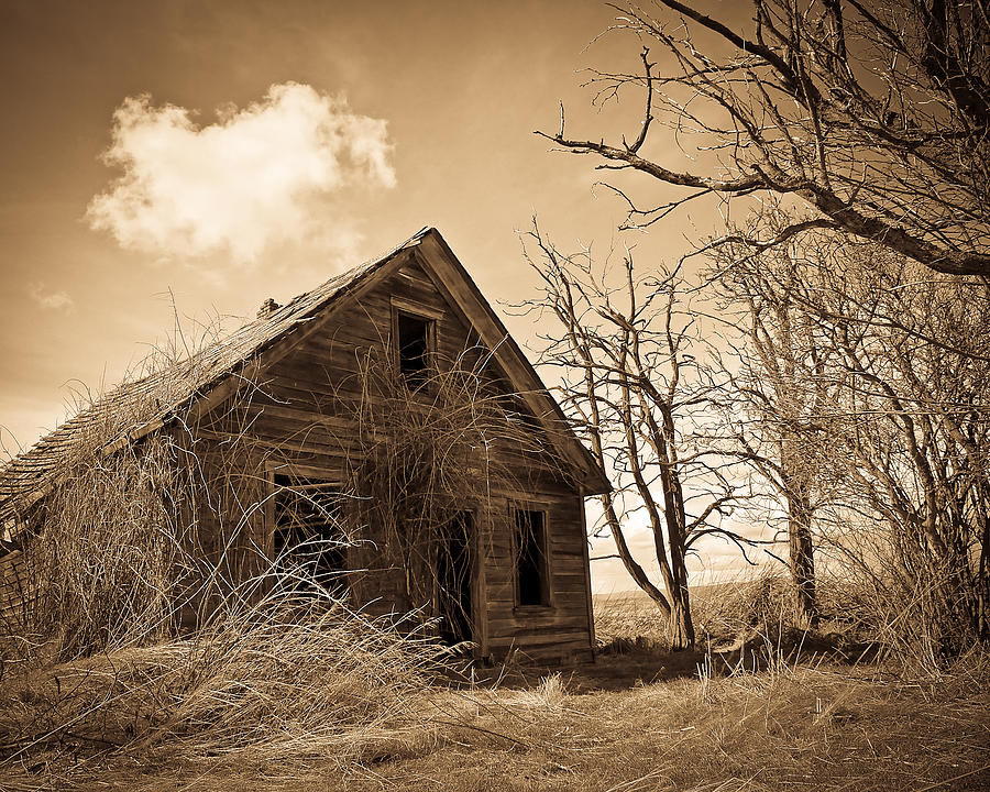 Cabin In the Woods Photograph by Steve McKinzie - Fine Art America