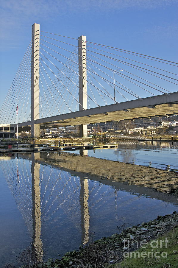 Cable-Stayed Bridge - Tacoma Photograph by Sean Griffin