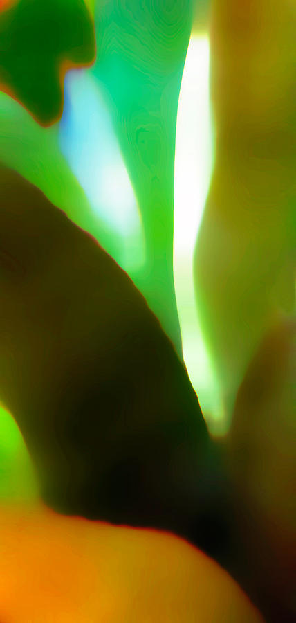 Cactus Abstract Photograph by T R Maines