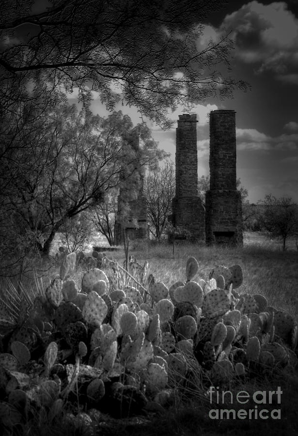 Abilene Photograph - Cactus at Fort Phantom Hill by Fred Lassmann