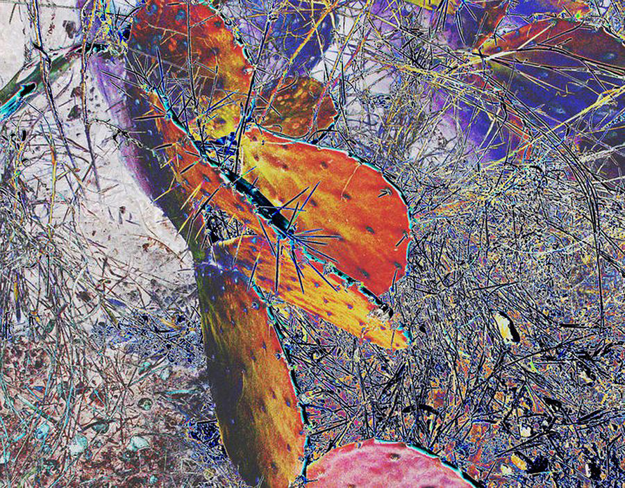 Cactus Pads by Louis Nugent Cactus Pads by Louis Nugent