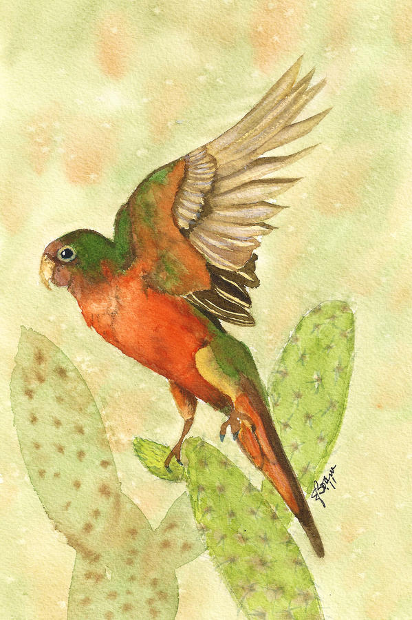 Cactus Parakeet Painting by Elise Boam
