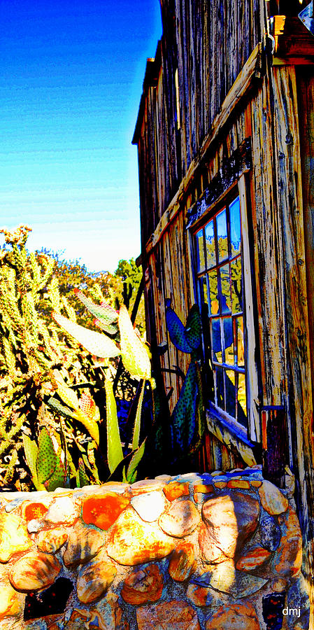 Cactus Reflection Photograph by Diane montana Jansson