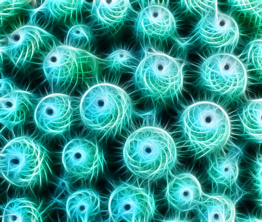 Cactus Swirl Digital Art by Bel Menpes
