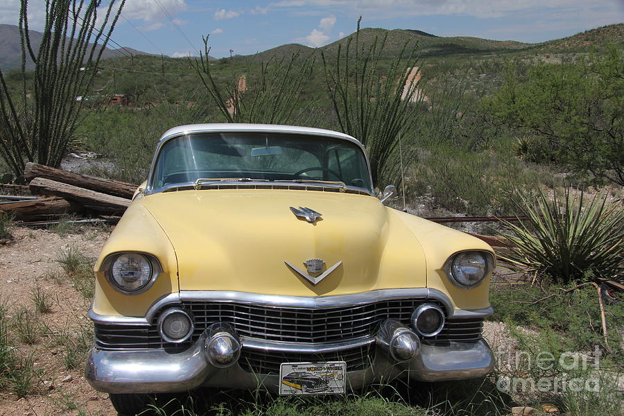 Caddy In The Desert Photograph