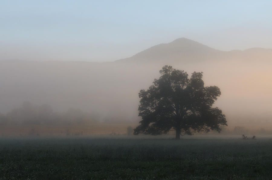 Cades Cove Photograph by Eric Haggart