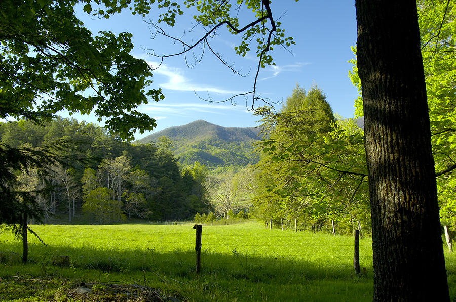 Cades Cove in Great Smoky Mountains Photograph by Darrell Young - Fine ...