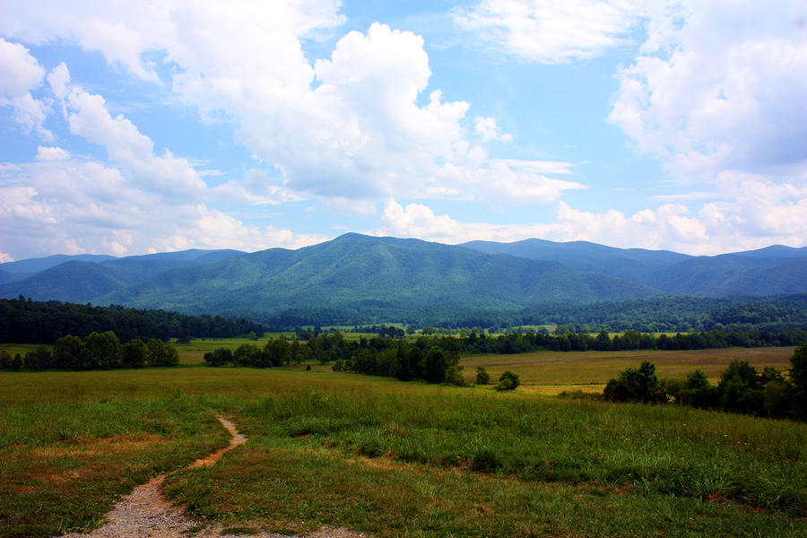 Cades Cove Photograph by Susie Weaver
