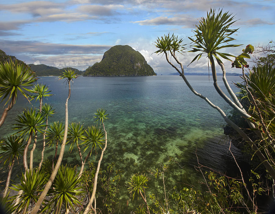 Cadlao Island Near El Nido Palawan Photograph by Tim Fitzharris