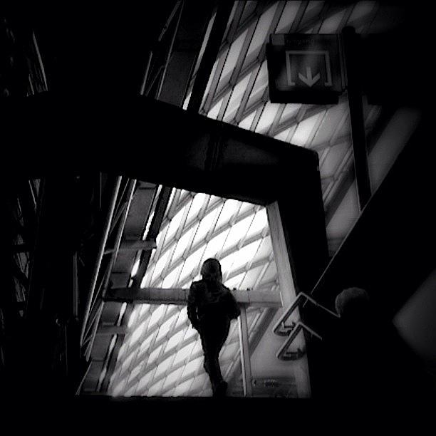 Silhouette Photograph - Caged Living - Concrete Jungle by Robbert Ter Weijden