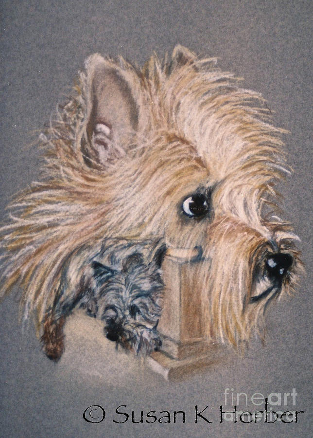 Cairn Terrier Friends Pastel by Susan Herber