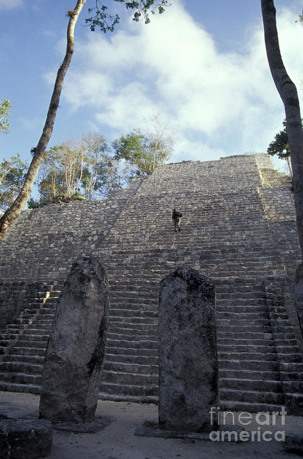 Calakmul Pyramid Climber Photograph by John  Mitchell