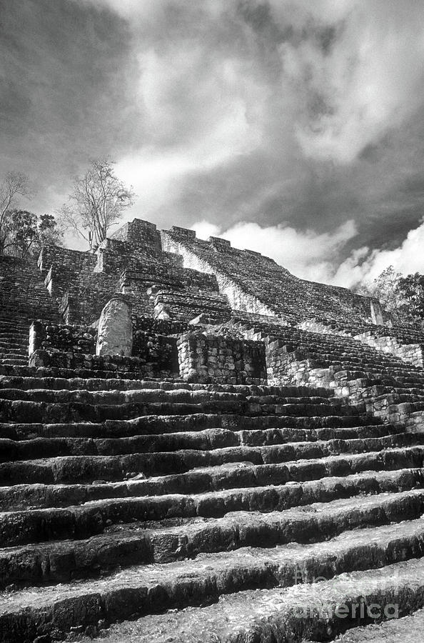 CALAKMUL PYRAMID VERTICAL Campeche Mexico Photograph by John  Mitchell