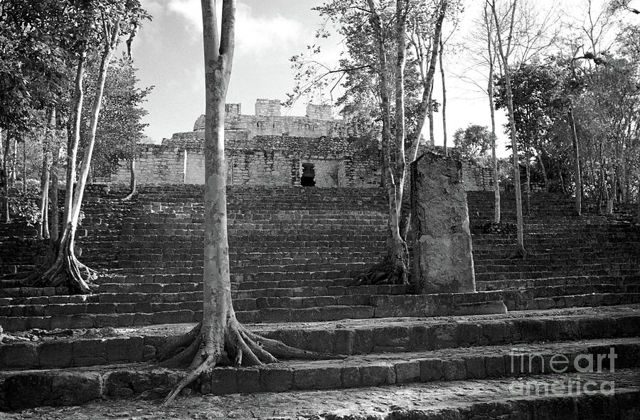 CALAKMUL TEMPLE Campeche Mexico Photograph by John  Mitchell
