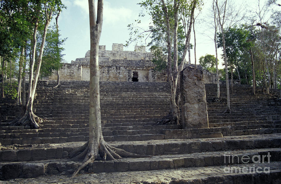 Calakmul Temple Photograph by John  Mitchell