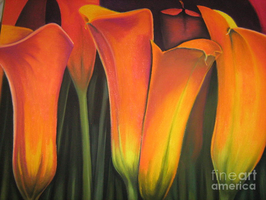 Calalilies Pastel By Penny Cash - Fine Art America